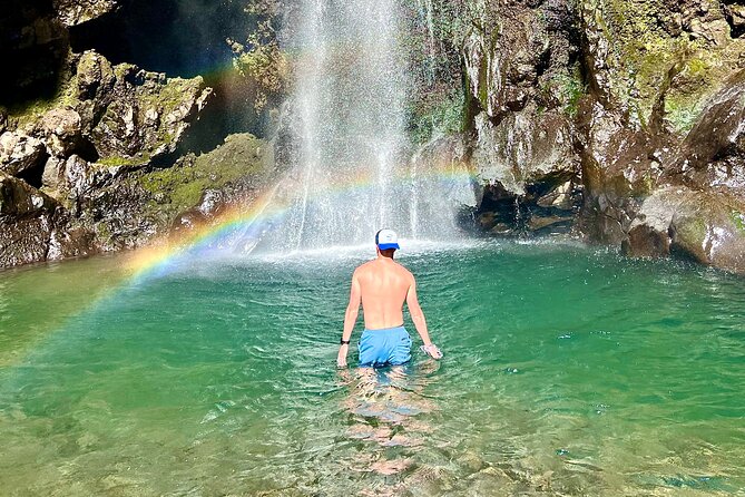 Maui: VIP Private Road to Hana Tour with Pick Up - Why a private Road to Hana tour can be worth the cost