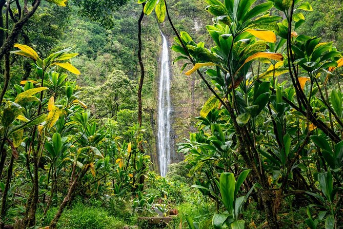 Maui: VIP Private Road to Hana Tour with Pick Up - Pua‘a Ka‘a and the first waterfall stop