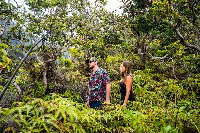 Maui: VIP Private Road to Hana Tour with Pick Up - Wai‘anapanapa’s black sand coast