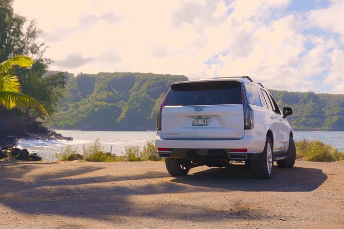 Maui: VIP Private Road to Hana Tour with Pick Up - Upper Waikani Falls and the Three Bears