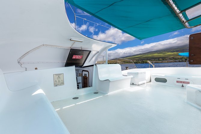 Maui: Whale Watching Cruise with Open Bar from Ka'anapali Beach - What the naturalists add