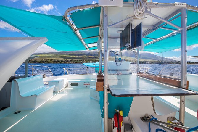 Maui: Whale Watching Cruise with Open Bar from Ka'anapali Beach - Open bar, snacks, and the social mood