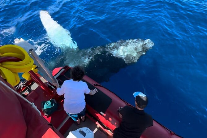 Maui Whale-Watching Tour by Raft from Kihei - The Kihei Boat Ramp start keeps things practical