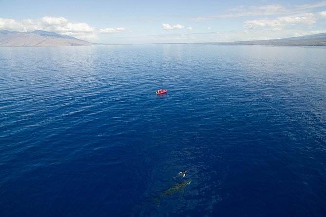 Maui Whale-Watching Tour by Raft from Kihei - A marine naturalist and the whale hydrophone