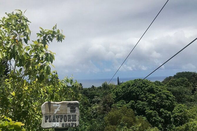 Maui Zipline Eco Adventure: 8 Lines through the Jungle - Guides who keep first-timers calm