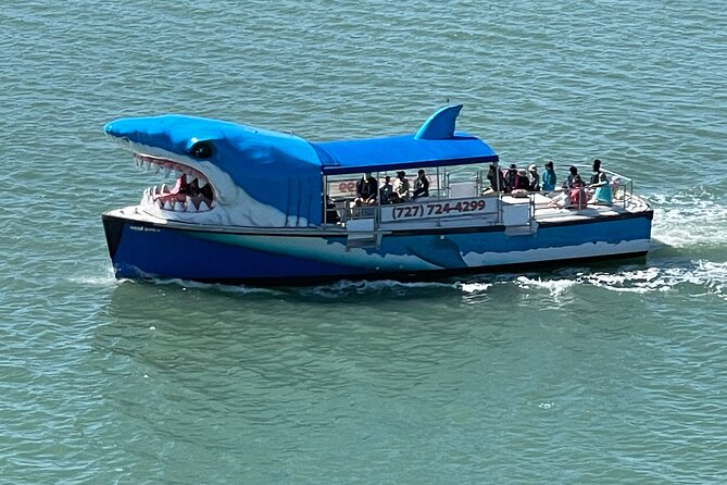 Mega Bite Dolphin Tour Boat in Clearwater Beach - Key points to know before boarding
