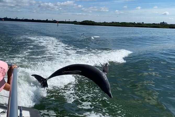 Mega Bite Dolphin Tour Boat in Clearwater Beach - The crew can shape the whole experience