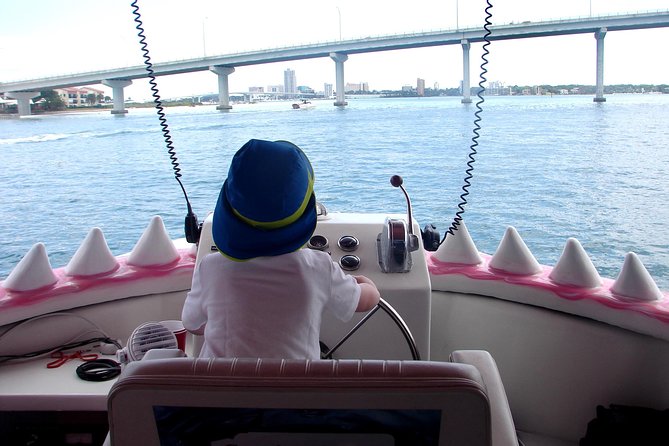 Mega Bite Dolphin Tour Boat in Clearwater Beach - Sunset or daytime: choosing the right departure