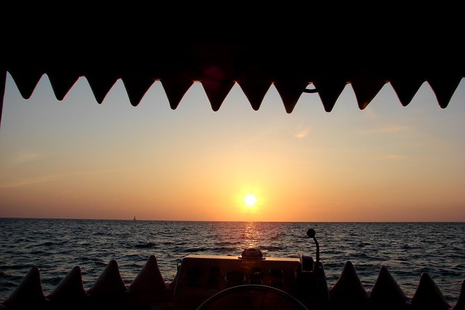 Mega Bite Dolphin Tour Boat in Clearwater Beach - The $28 price and what you receive
