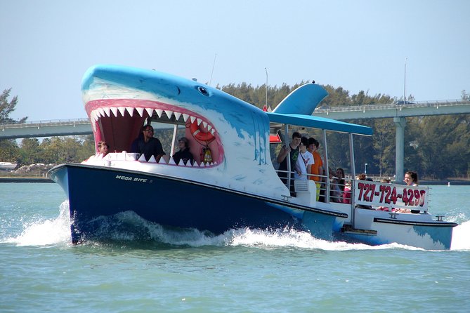 Mega Bite Dolphin Tour Boat in Clearwater Beach - Weather, cancellations, and realistic expectations