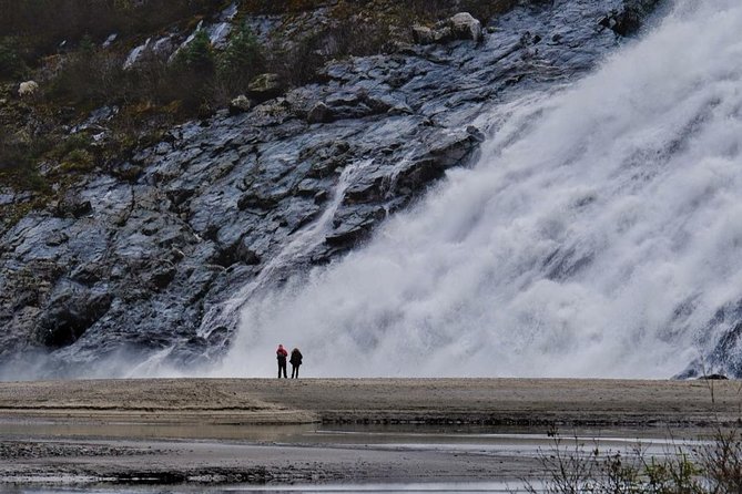 Mendenhall Glacier Trolley Tour - Who will enjoy this Juneau outing?