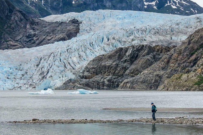 Mendenhall Glacier Visitor Center and Ultimate Whale Watch Combo - How much value do you get for $199?
