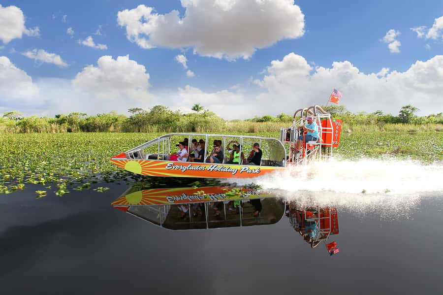 Miami: Everglades Experience, Bay Cruise & Open-Top Bus Tour - Who gets the most from this tour?