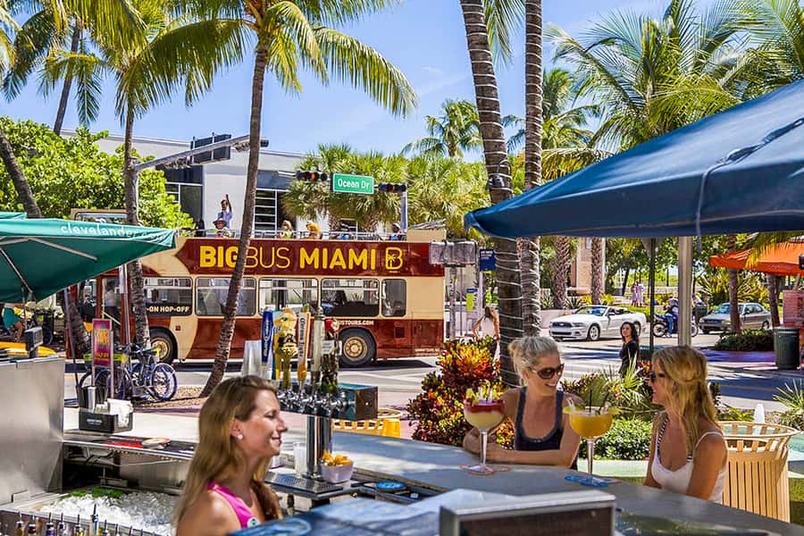 Miami: Everglades Experience, Bay Cruise & Open-Top Bus Tour - Starting at Soundscape Park or Bayside Marketplace