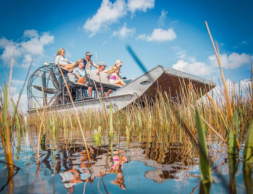 Miami: Everglades National Park Airboat Tour & Wildlife Show - What the 35-minute airboat ride is really like