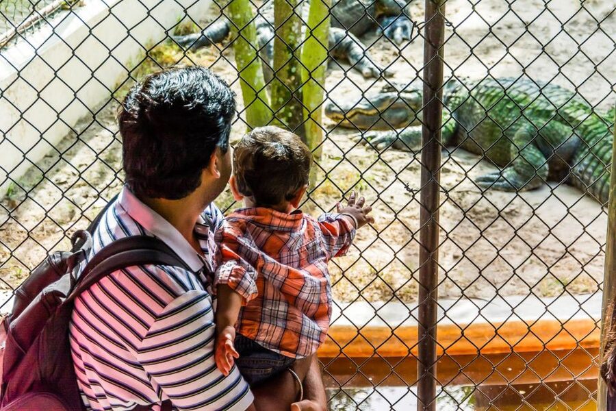 Miami: Everglades Safari Park Airboat Tour - Weather, comfort, and practical limits