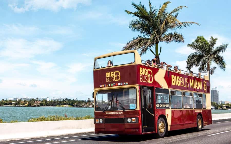 Miami: Hop-on Hop-off Open-top Bus Tour and Optional Cruise - South Beach and the Art Deco streets