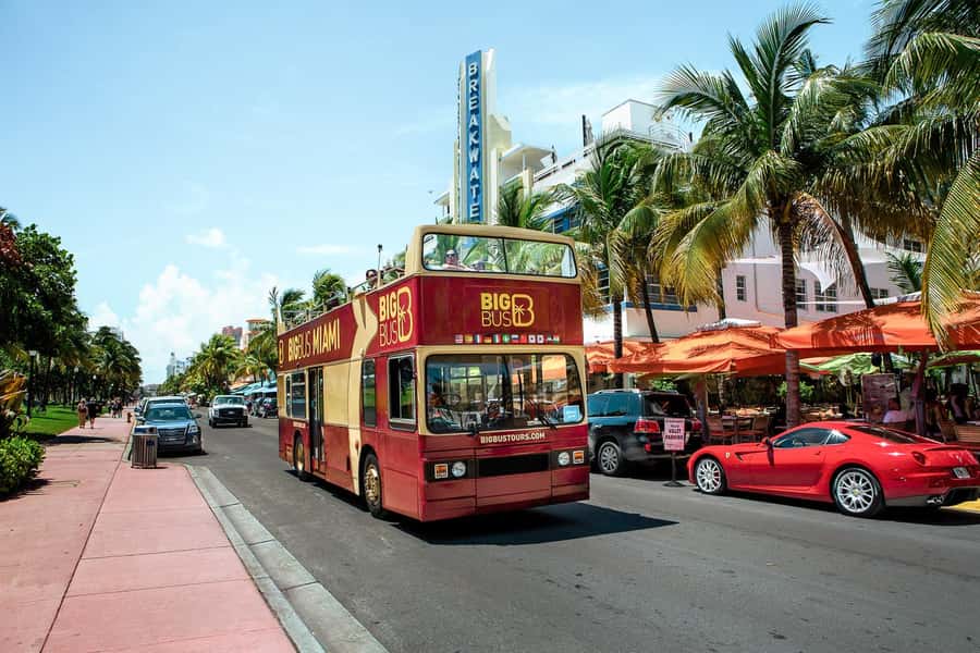 Miami: Hop-on Hop-off Open-top Bus Tour and Optional Cruise - The 8 PM panoramic night tour