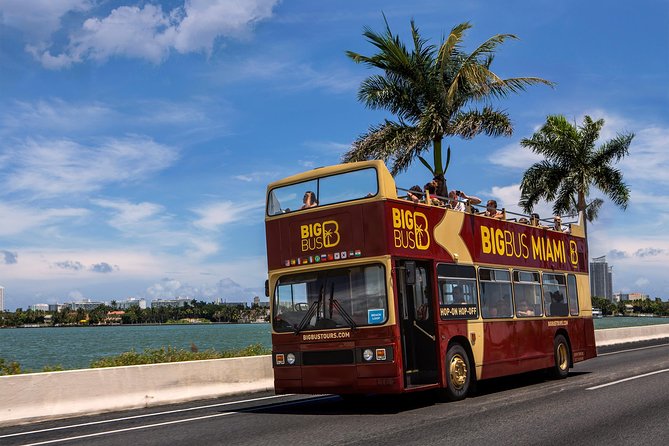 Miami: Hop-on Hop-off Tour + Cruise & Free 1-Hour Bike Rental - Who should book this Miami tour?