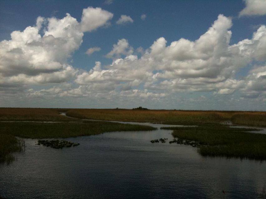 Miami: Original Everglades Airboat Tour & Interpretive area - The guides make the difference