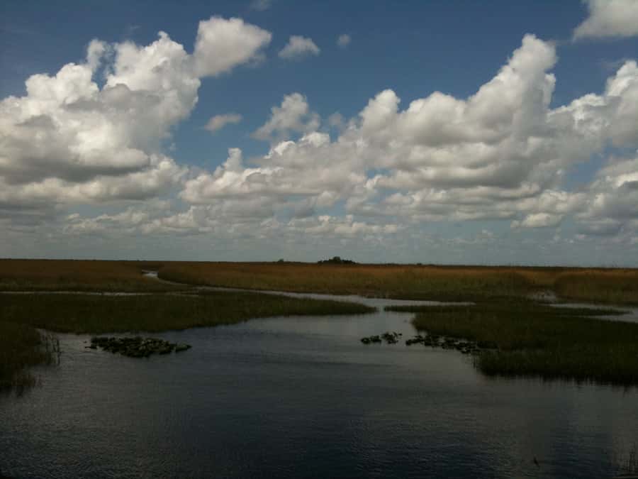 Miami: Original Everglades Airboat Tour & Interpretive area - Meeting Jojo and visiting the interpretive area