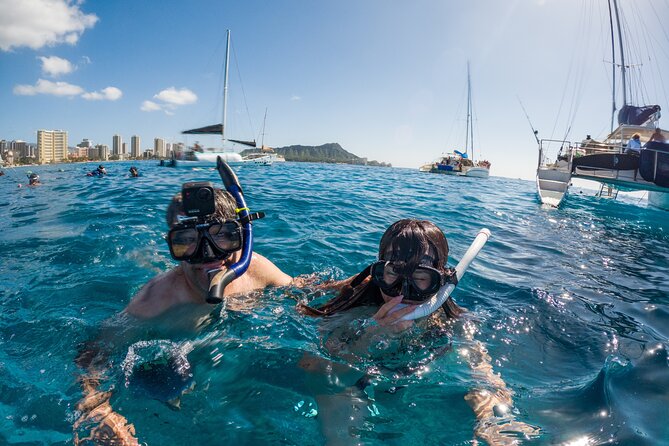 Moana’s Waikīkī Grand Guided Turtle Snorkel & Sailing Adventure - Is $76.49 a fair price?