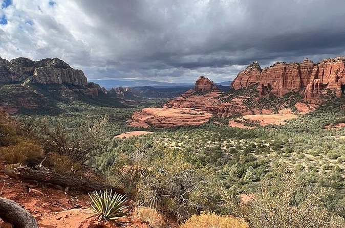 Mogollon Rim Run Supreme Jeep Tour from Sedona - How much value do you get for $136.25?