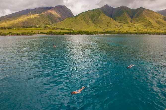 Molokini and Turtle Arches Snorkeling Trip from Ma'alaea Harbor - What makes Molokini Crater special