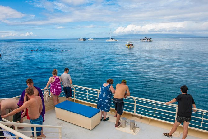 Molokini and Turtle Arches Snorkeling Trip from Ma'alaea Harbor - The crew, instruction, and comfort level