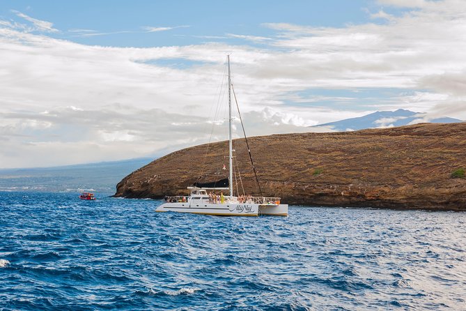 Molokini and Turtle Arches Snorkeling Trip from Ma'alaea Harbor - Who should book this Molokini outing?