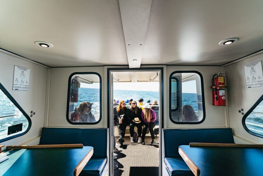 Monterey Bay: Whale Watching Tour - Who will enjoy this most