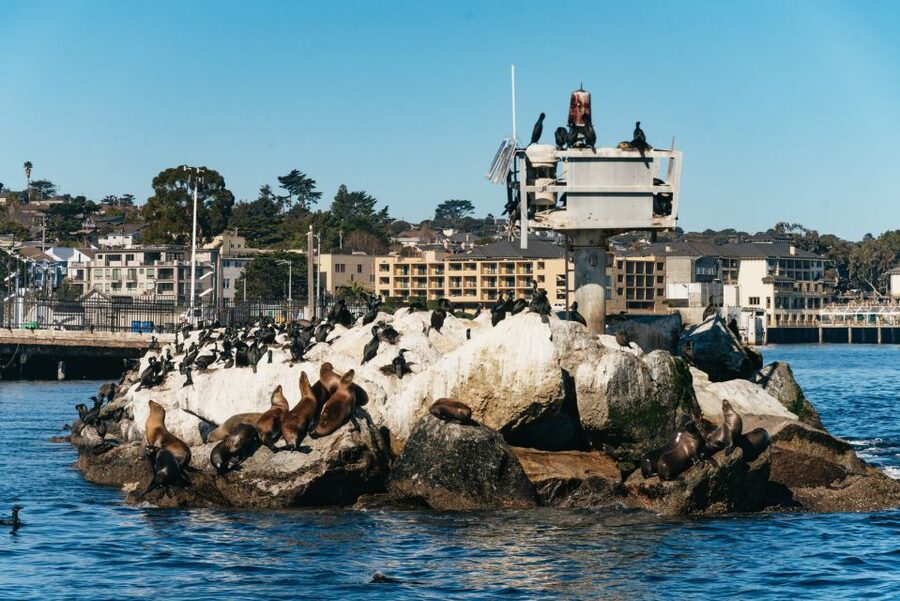 Monterey Bay: Whale Watching Tour - Passing Cannery Row and entering the sanctuary