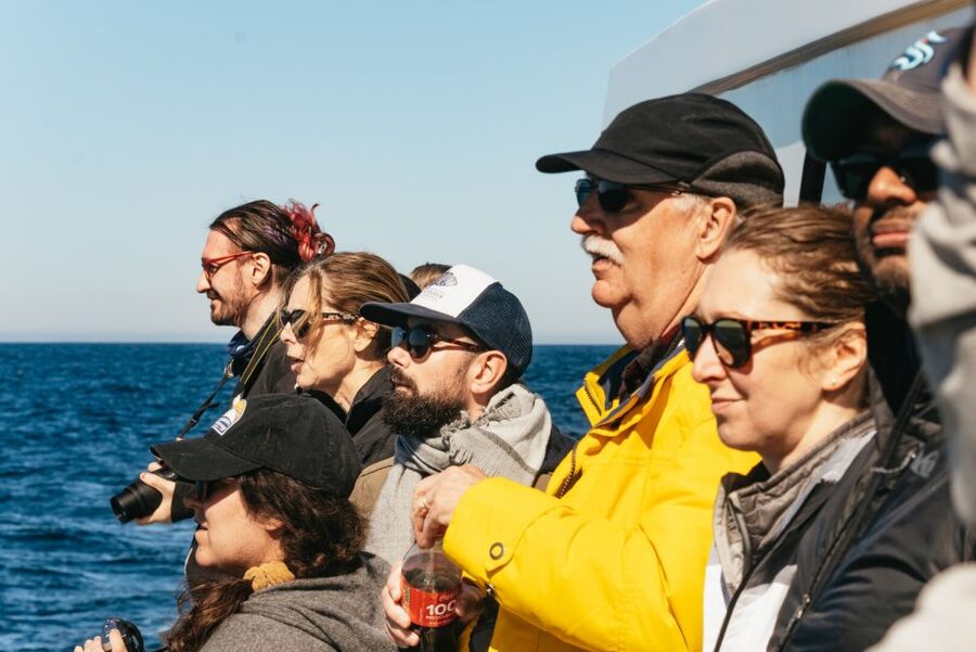 Monterey Bay: Whale Watching Tour - What you may see during summer and fall