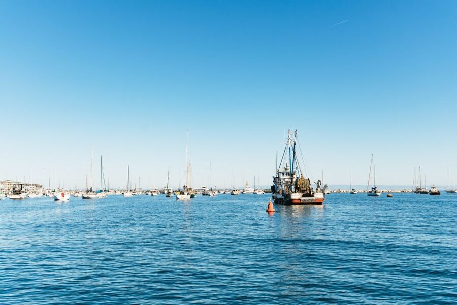 Monterey Bay: Whale Watching Tour - The boat, group size, and onboard comfort