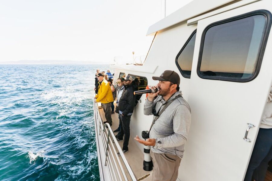 Monterey Bay: Whale Watching Tour - Is $75 a fair price?