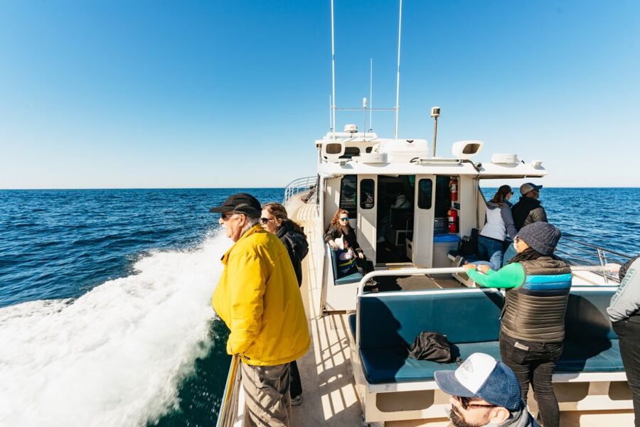 Monterey Bay: Whale Watching Tour - Leaving Old Fisherman’s Wharf