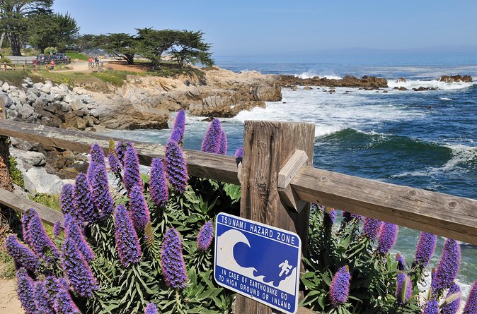 Monterey, Carmel and 17-Mile Drive: Full Day Tour from SF - Davenport Cafe: coffee, snacks, and a useful break