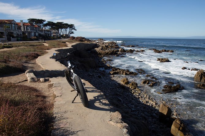 Monterey's 17 Mile Drive Guided Electric Bike Tour, 3 hr - China Rock and Bird Rock wildlife