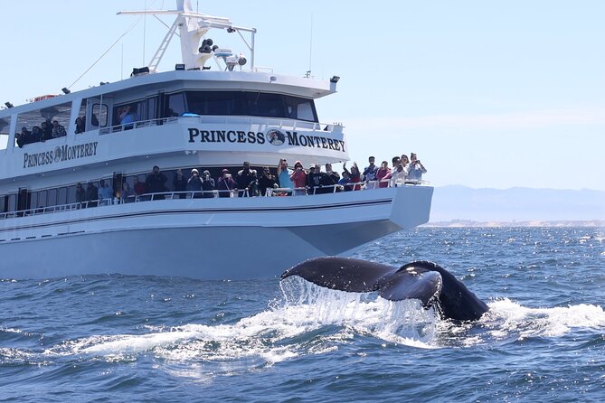 Monterey Whale Watching Tour - Boarding the Princess Monterey or Atlantis Monterey