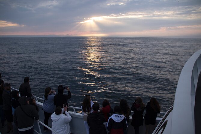 Monterey Whale Watching Tour - What the three-hour route feels like