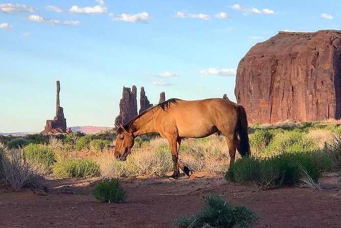 Monument Valley Group Tour - 3 Hours - Navajo Spirit Tours - Anasazi Petroglyphs and Ancient Human Traces