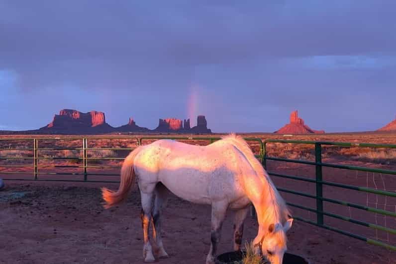 Monument Valley: Horseback Adventure Tour - Starting at D/D MTA Horse Tours near the KOA