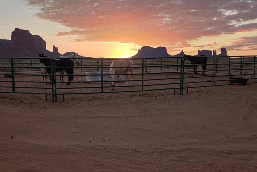 Monument Valley: Horseback Adventure Tour - Safety, comfort, and who should skip the ride