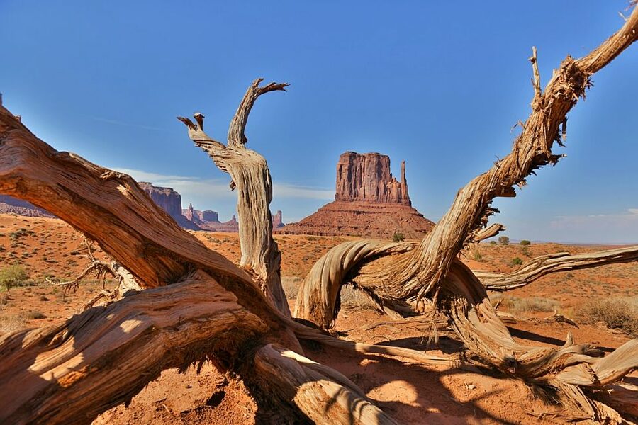 Monument Valley: Scenic 2.5-Hour Guided Tour - Dust, weather, and comfort