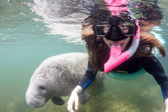 Most Popular 3hr Manatee Swim Tour + In-Water Guide! - Arrival at Fun 2 Dive on NE 3rd Street