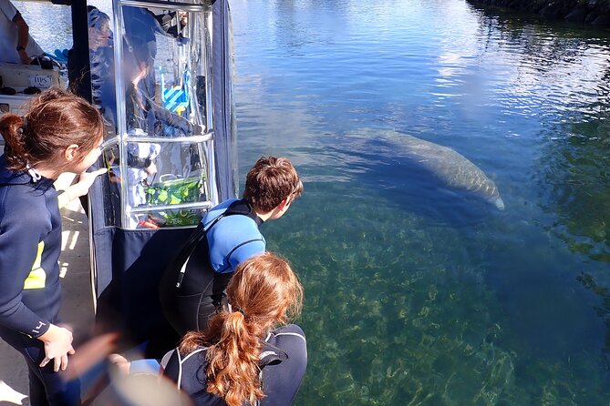 Most Popular 3hr Manatee Swim Tour + In-Water Guide! - Three hours on the schedule, with about an hour in the water