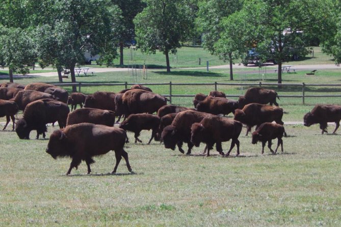 Mount Rushmore and Black Hills Tour with Two Meals and a Music Variety Show - Starting with cowboy pancakes at Fort Hays