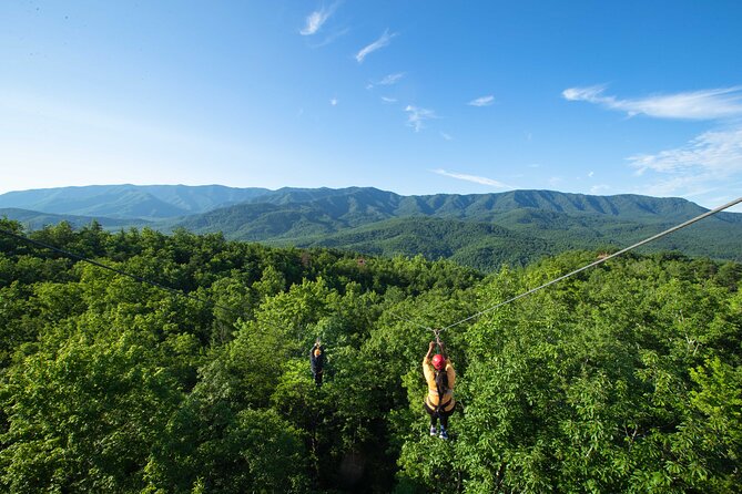 Mountaintop Zipline 2-Hours Activity - Six zip lines above the treetops