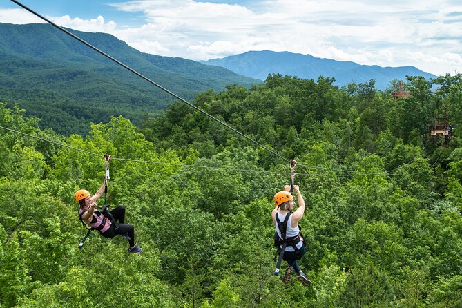 Mountaintop Zipline 2-Hours Activity - Four bridges add a different kind of challenge
