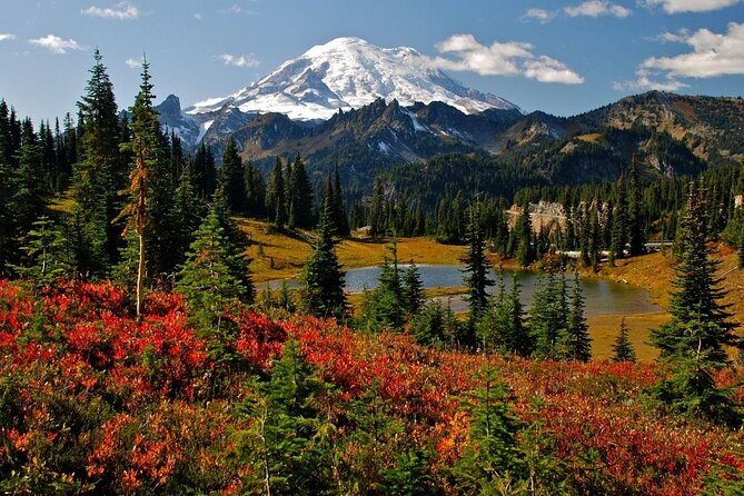 Mt. Rainier Day Tour from Seattle - Key points at a glance